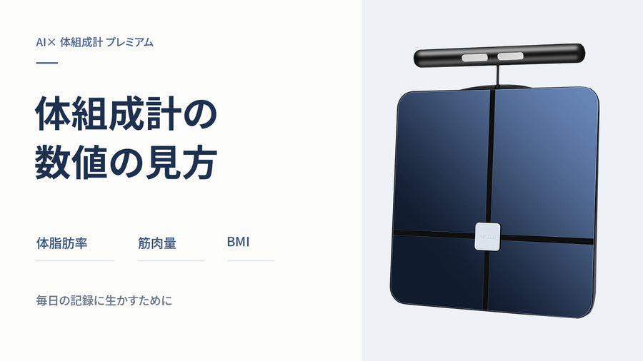 体組成計の数値の見方｜体脂肪率・筋肉量・BMIを毎日の記録に生かすには