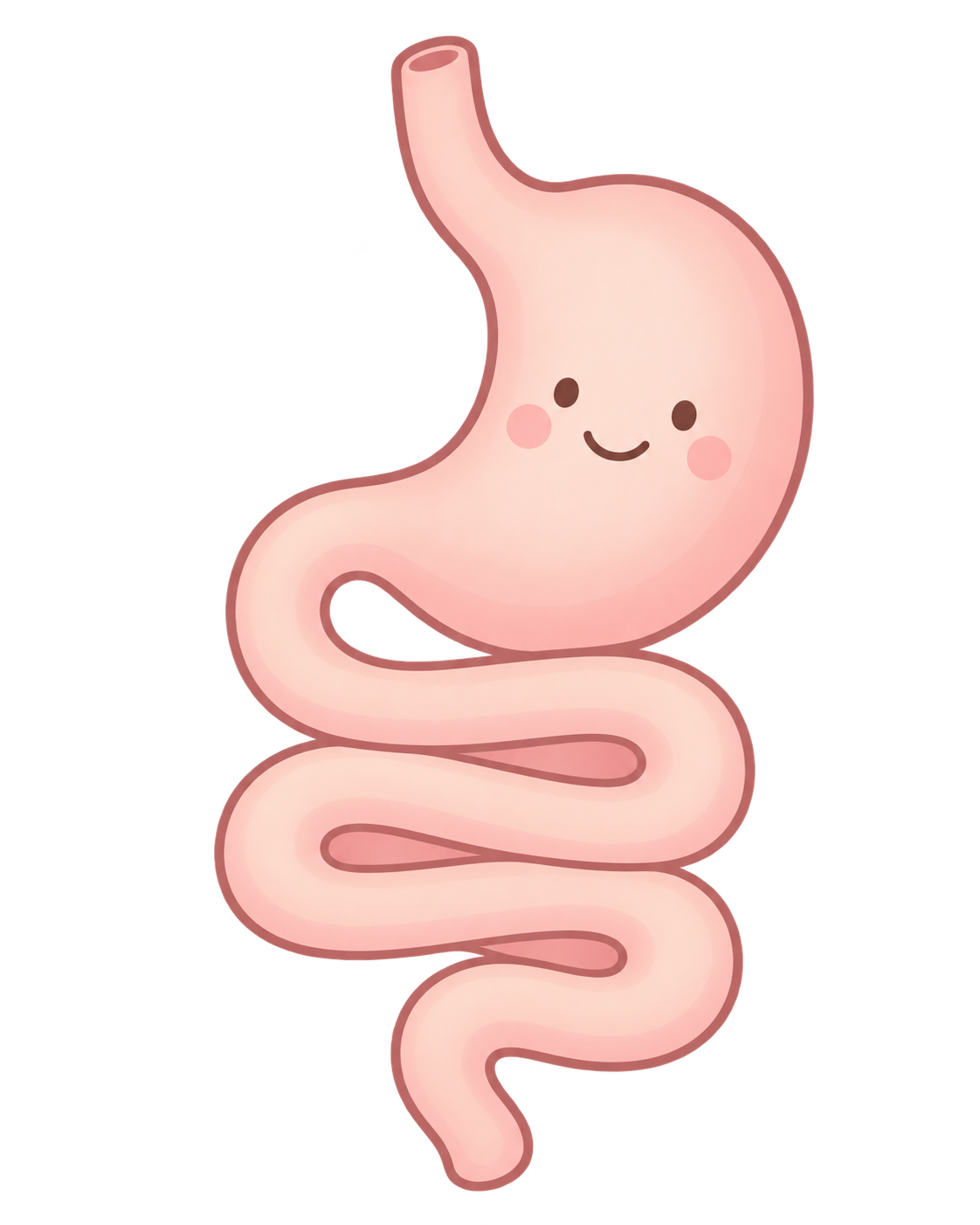 やさしい表情の胃腸のイラスト